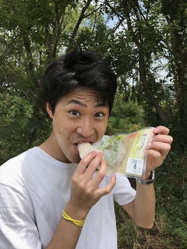 f:id:akio130:20170805195240j:plain f:id:akio130:20170805195240j:plain