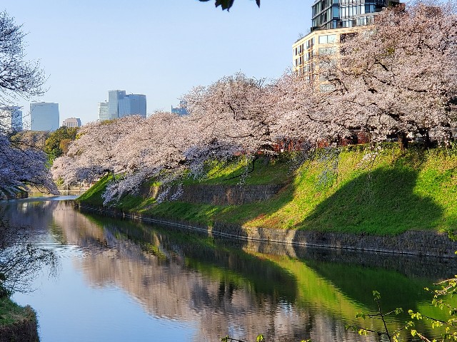 f:id:akio422:20210410102705j:image