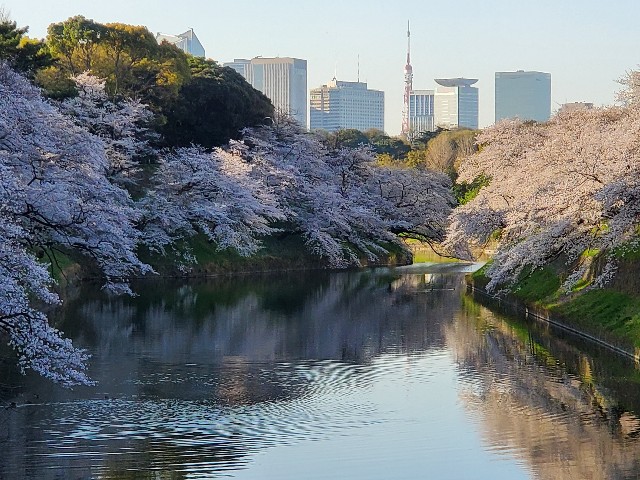 f:id:akio422:20210410102837j:image