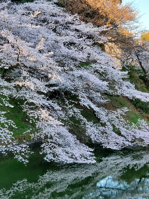 f:id:akio422:20210410102900j:image