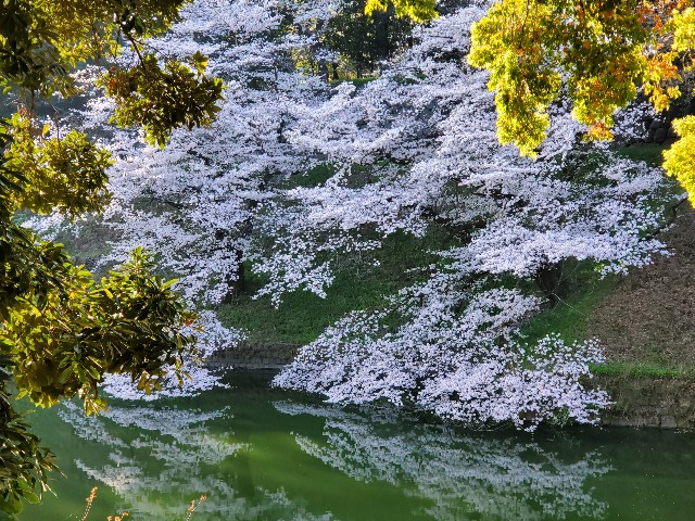 f:id:akio422:20210410102914j:image