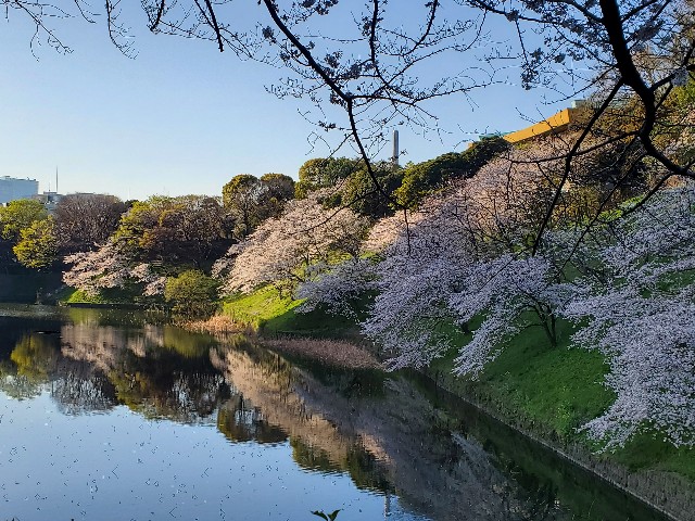 f:id:akio422:20210410103032j:image