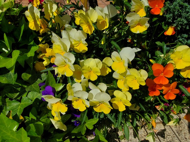 f:id:akio422:20210410164701j:image