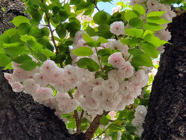 f:id:akio422:20210410165701j:image