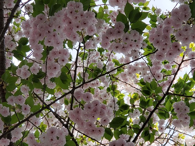 f:id:akio422:20210410165743j:image
