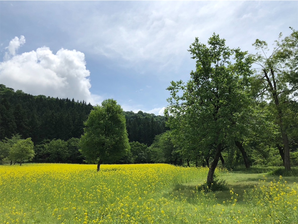 f:id:akiocha:20250528215831j:image