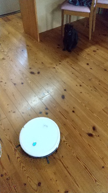 f:id:akipon216:20200804235537j:image