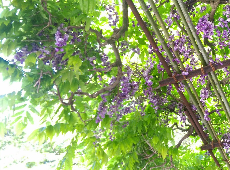 f:id:akipopo:20180430010442j