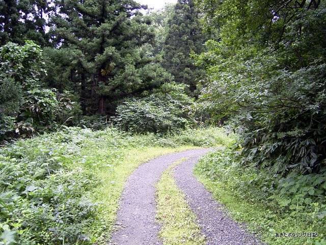 f:id:akipota:20050924090705j:plain f:id:akipota:20050924090705j:plain