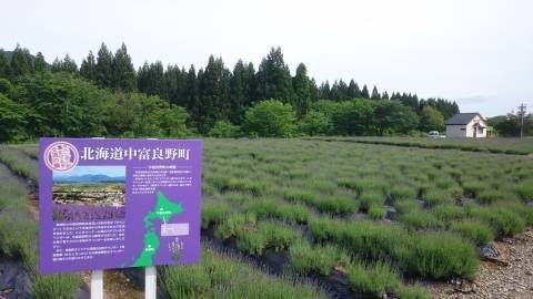 f:id:akipota:20190609145557j:plain f:id:akipota:20190609145557j:plain