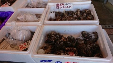 f:id:akipota:20190710113723j:plain