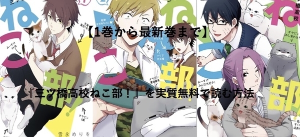 ネコ　表紙