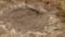 20171230120624
