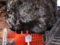 20180128110258
