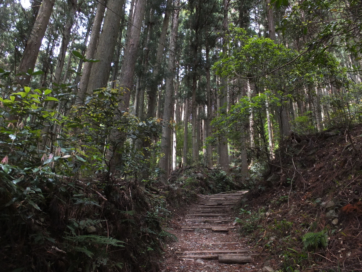 f:id:akira-kami:20190428121220j:plain