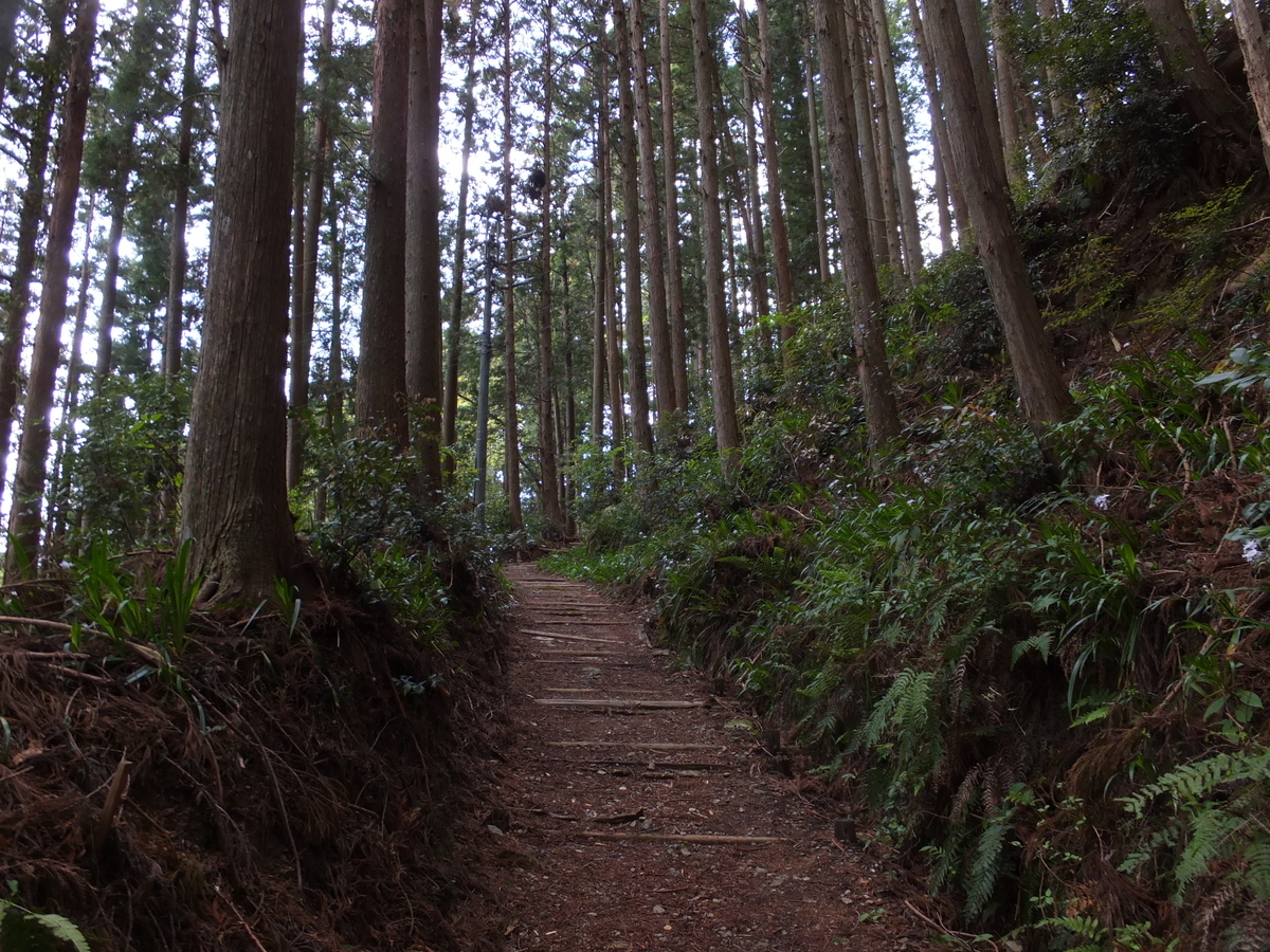 f:id:akira-kami:20190428125302j:plain