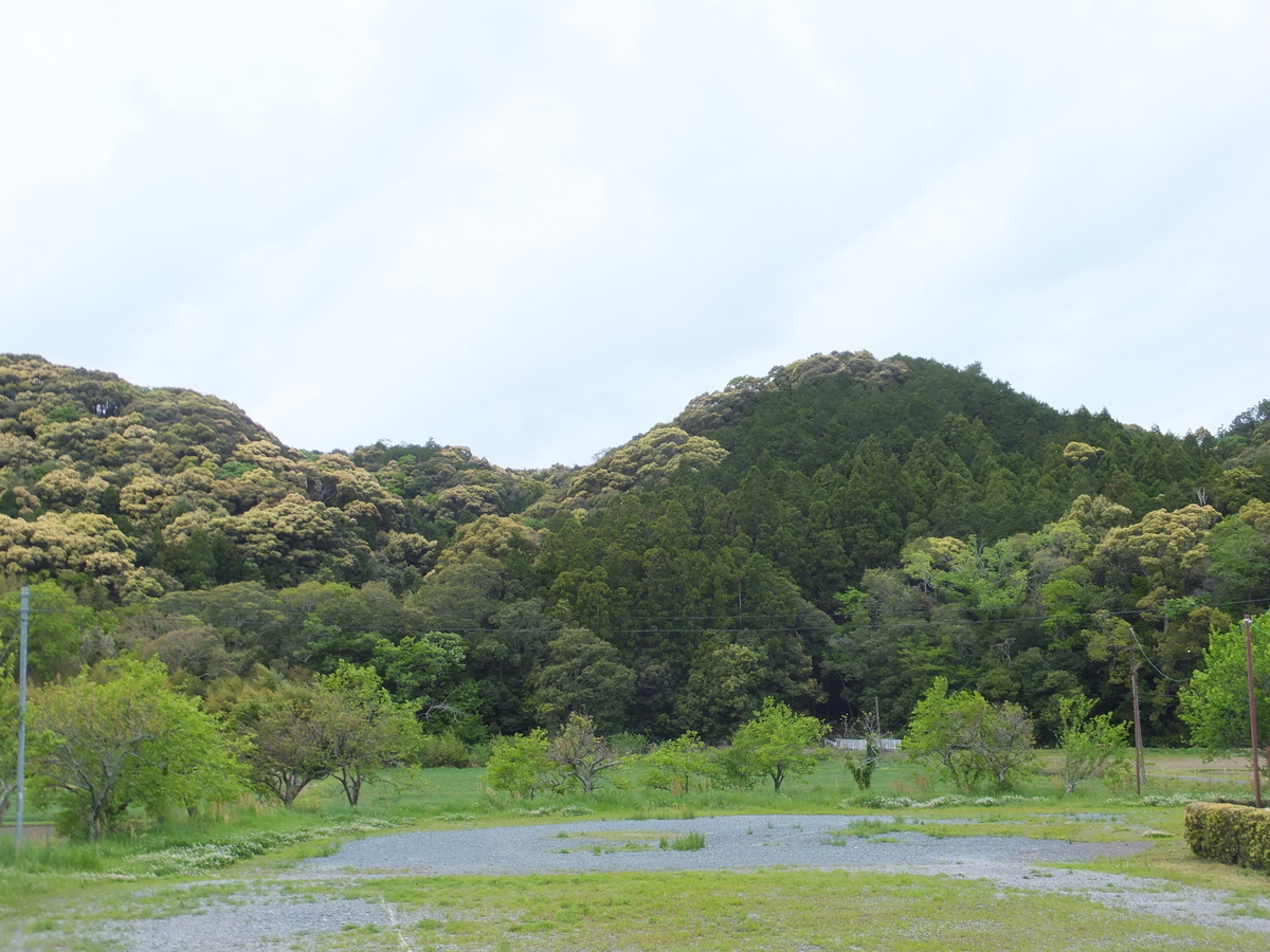 f:id:akira-kami:20190429110922j:plain