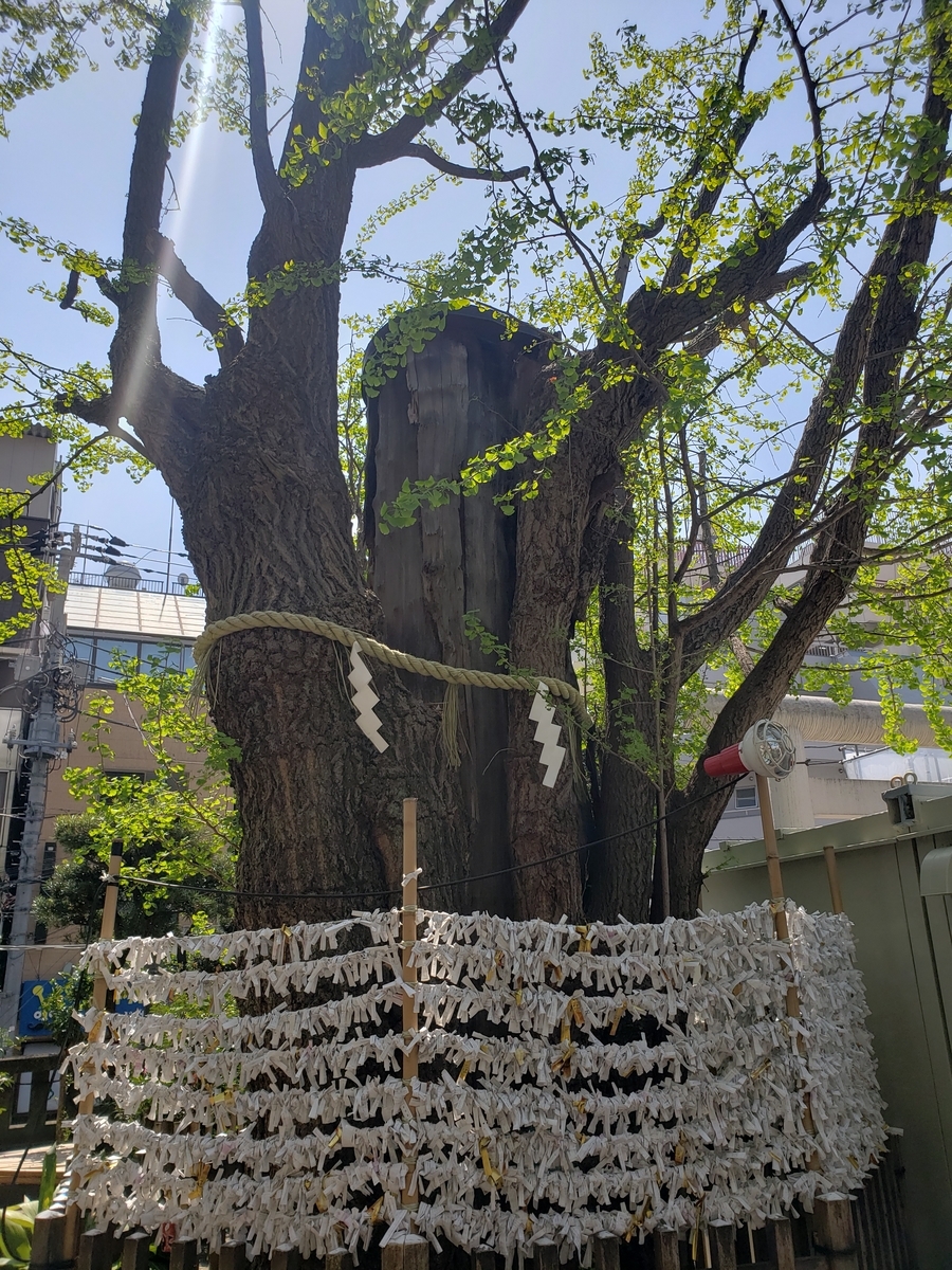 神社 三軒茶屋 | サテライトオフィスサービス | テレワークに使える