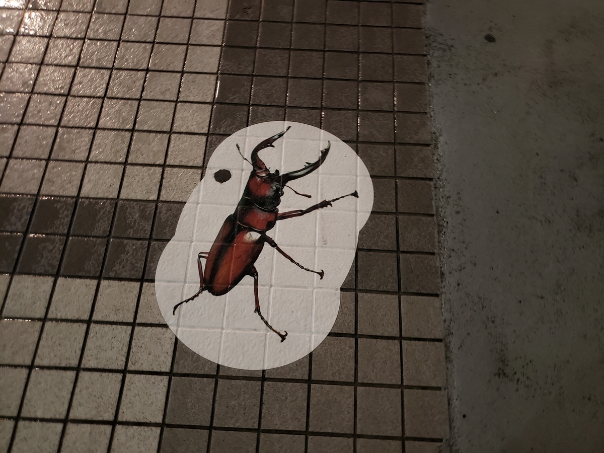 踏み絵 - 天才詩人こうやまあきらのブログ!