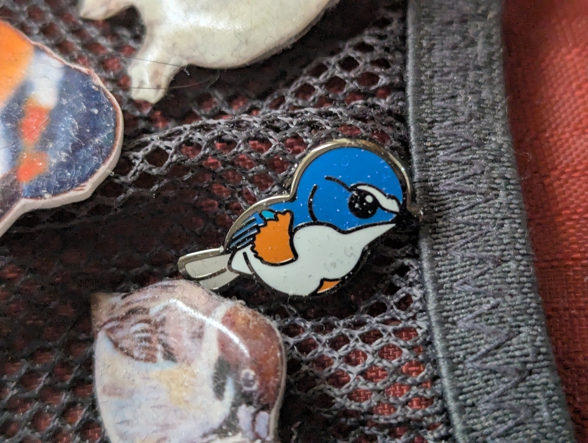 幸せの青い鳥を求めて・・・都立桜ヶ丘公園で野鳥探し（幸せ探し