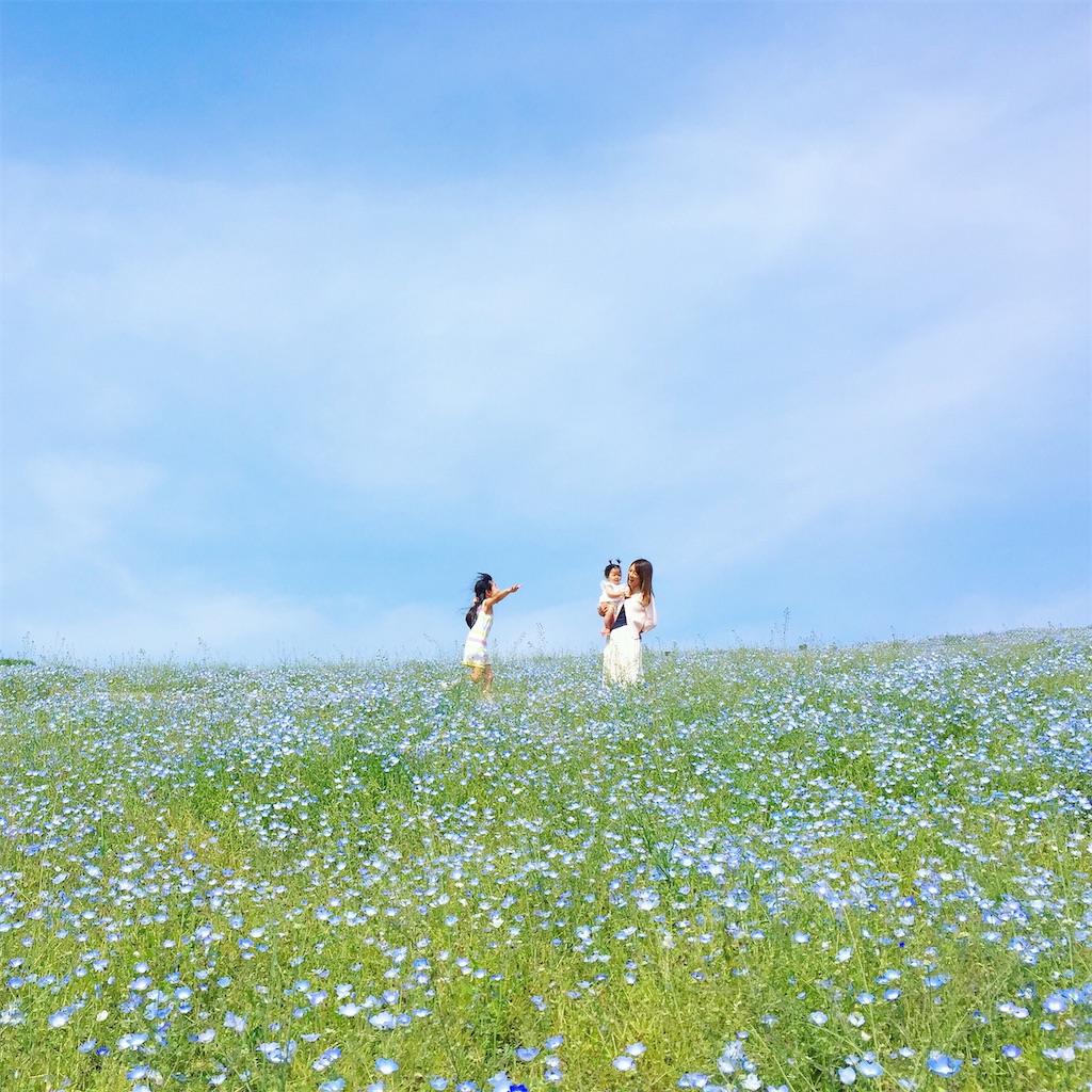 f:id:akira-wakasugi:20220528180230j:image