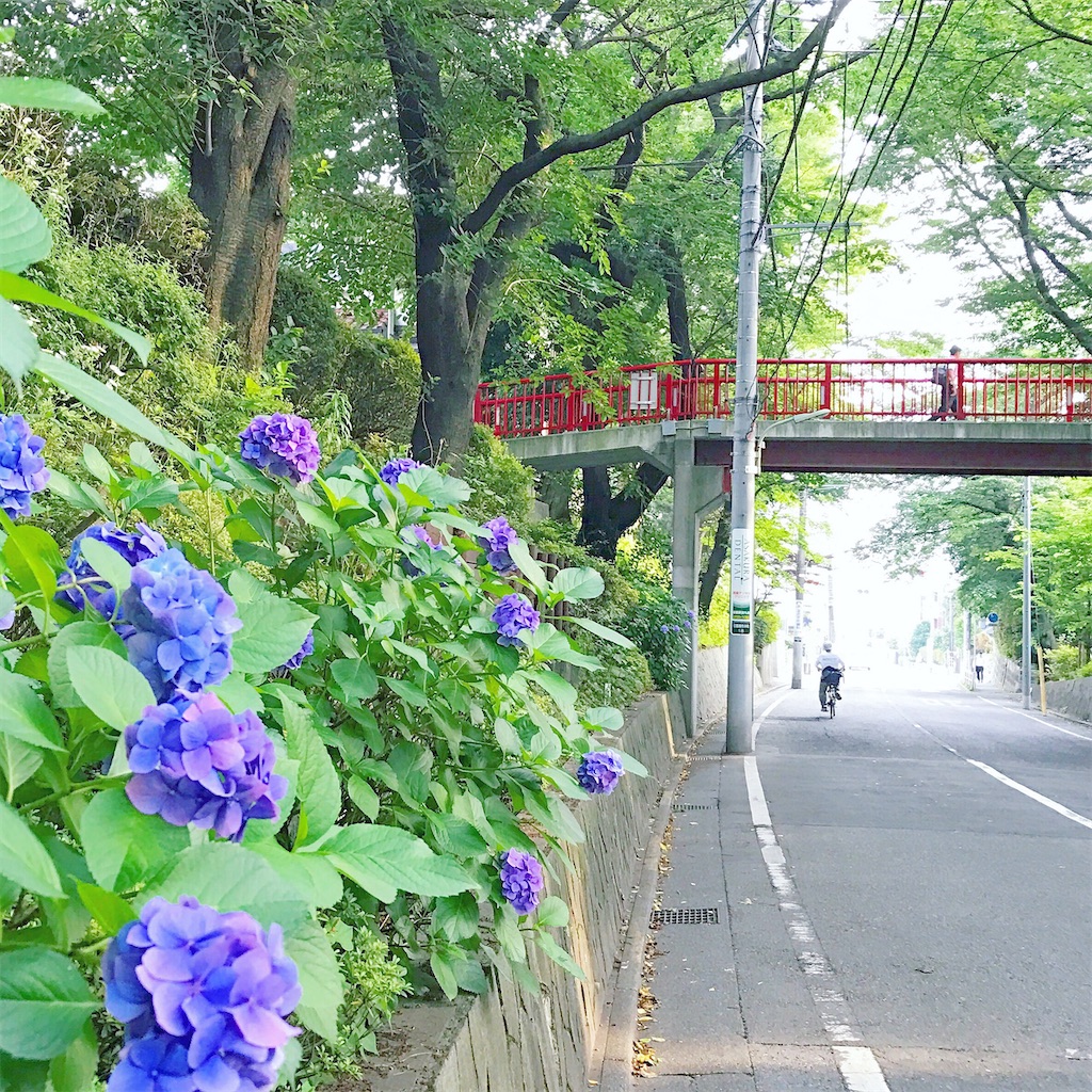 f:id:akira-wakasugi:20220529181000j:image