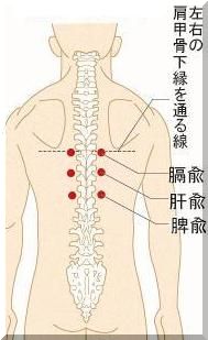 瘀血(おけつ)の説明！ - 千葉の鍼灸便り