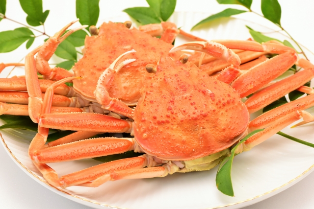 f:id:akira2013web:20180910113539j:plain カニの画像