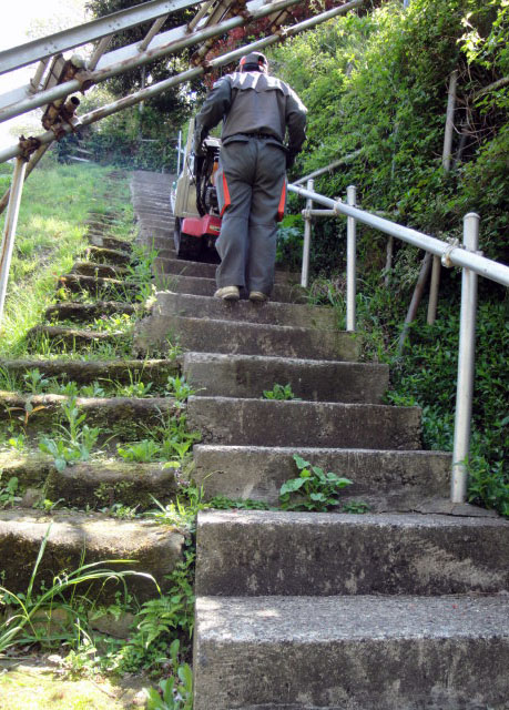 f:id:akira253:20190419160103j:plain f:id:akira253:20190419160103j:plain