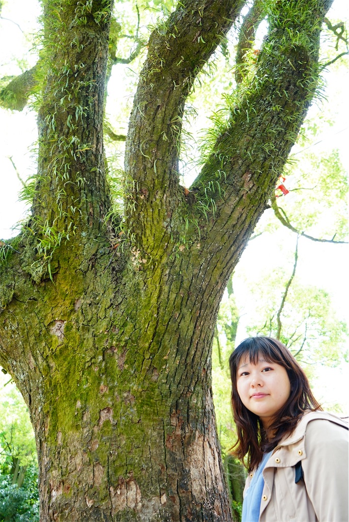 f:id:akira50001:20190520094915j:image