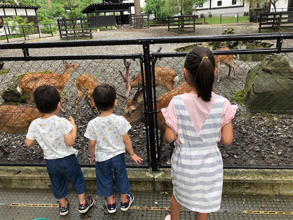 f:id:akira5669:20190728020148j:image