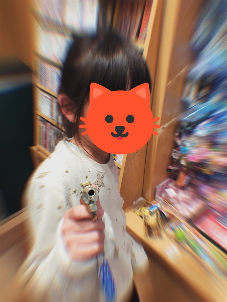 f:id:akira5669:20200305121654j:image