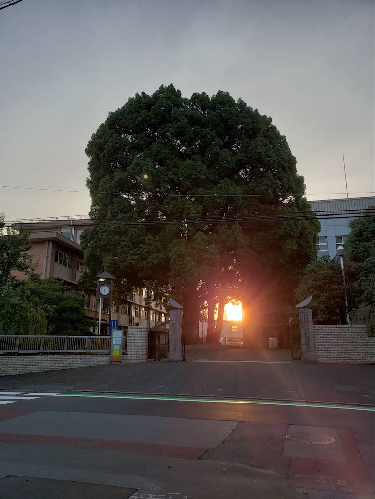 f:id:akira5669:20200830132801j:plain