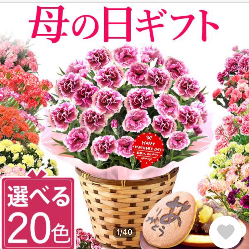 f:id:akira5669:20210509143415j:plain