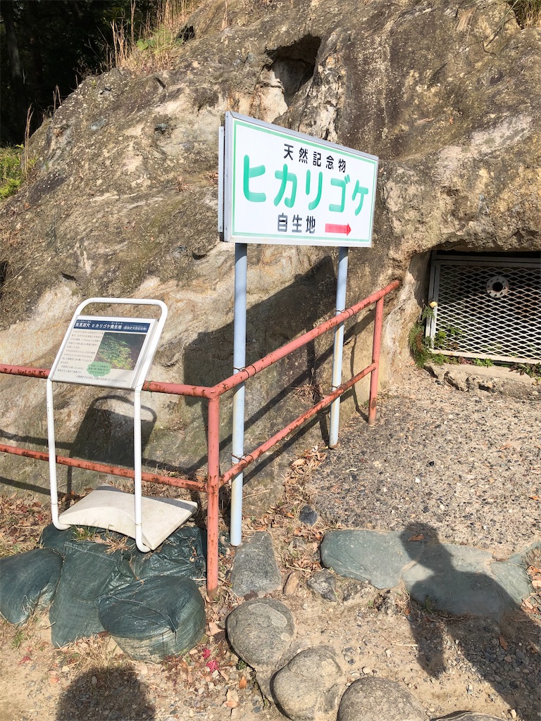f:id:akira5669:20211107153104j:plain