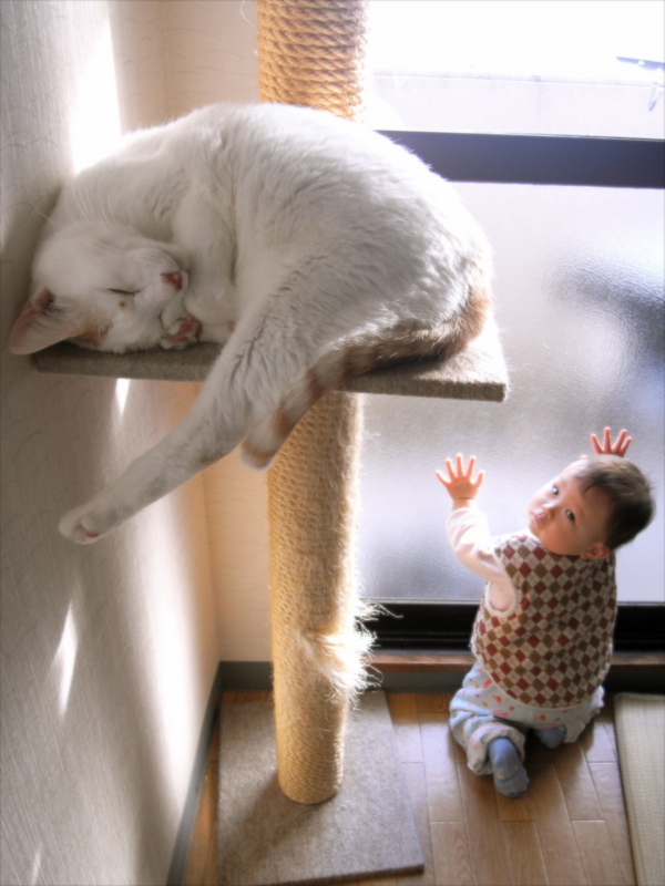 f:id:akirahs:20080104174436j:image:w150