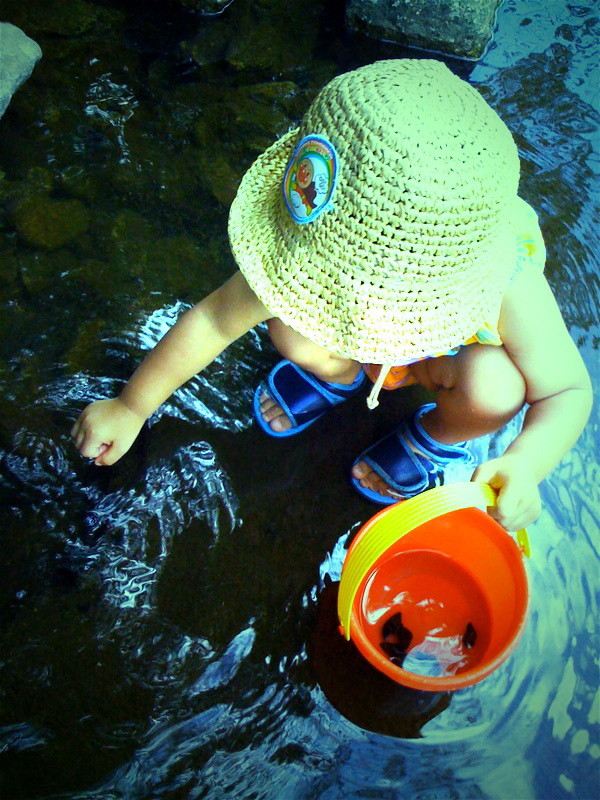 f:id:akirahs:20090811124141:image:w150