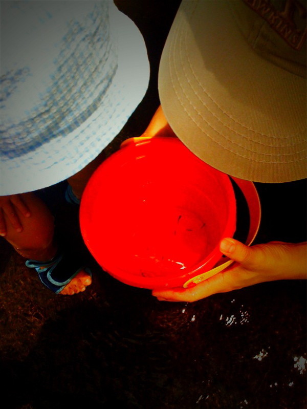 f:id:akirahs:20090811124144:image:w150