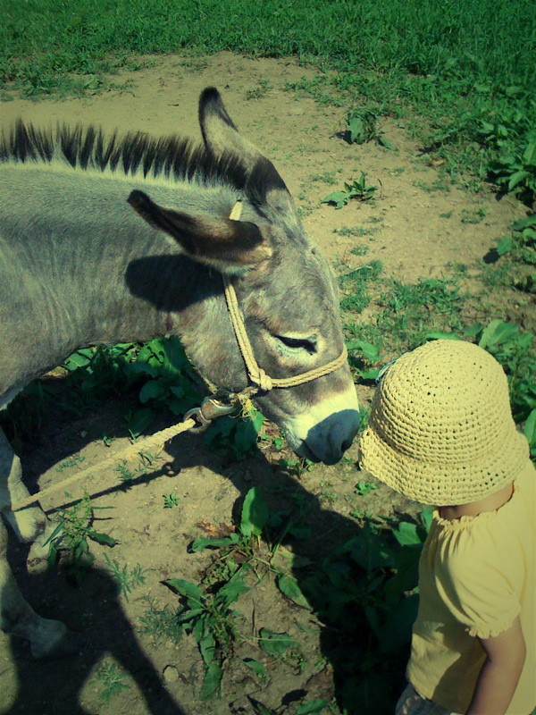 f:id:akirahs:20090811124159:image:w150