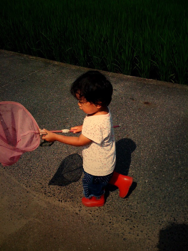 f:id:akirahs:20090812161847:image:w150