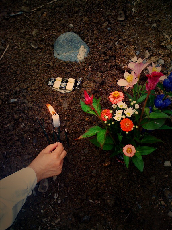 f:id:akirahs:20090812180000:image:w150