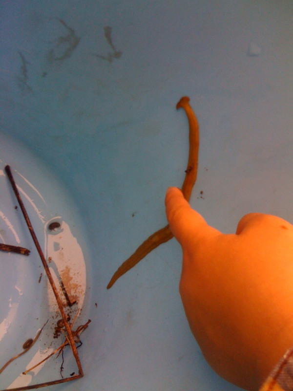 f:id:akirahs:20110902171910j:image