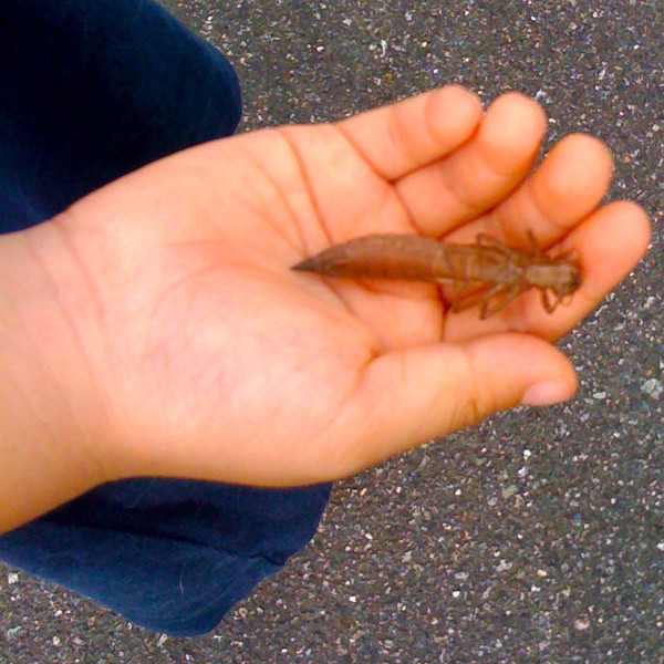 f:id:akirahs:20110902174017j:image