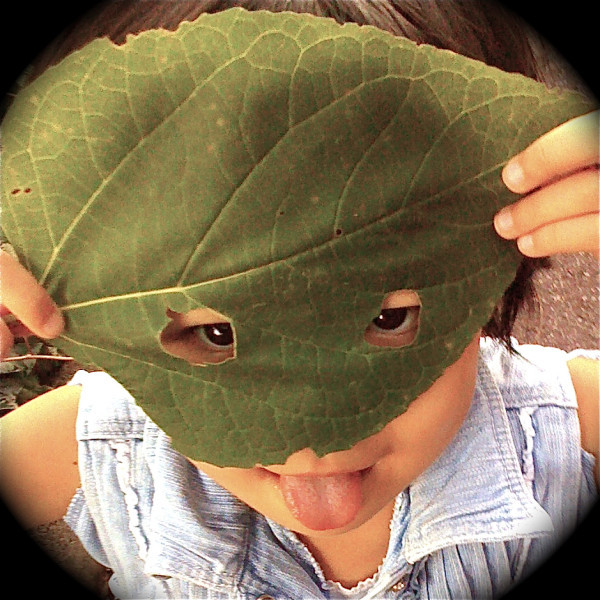 f:id:akirahs:20120301122551:image