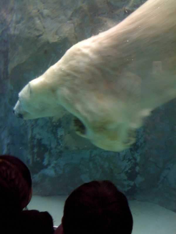 f:id:akirahs:20120301122557:image