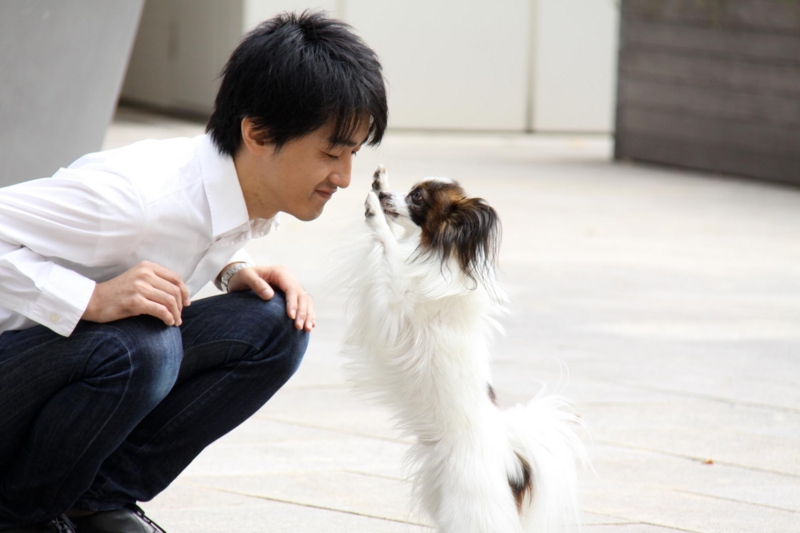 f:id:akiranakajima:20111205230337j:image