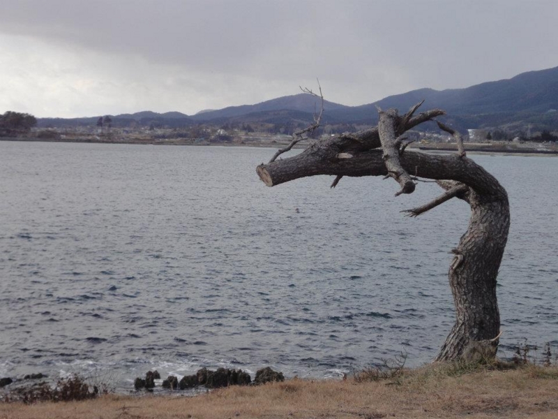 f:id:akiranakajima:20120106091321j:image