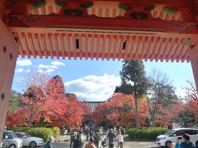 f:id:akirankun:20171124235709j:image f:id:akirankun:20171124235709j:image