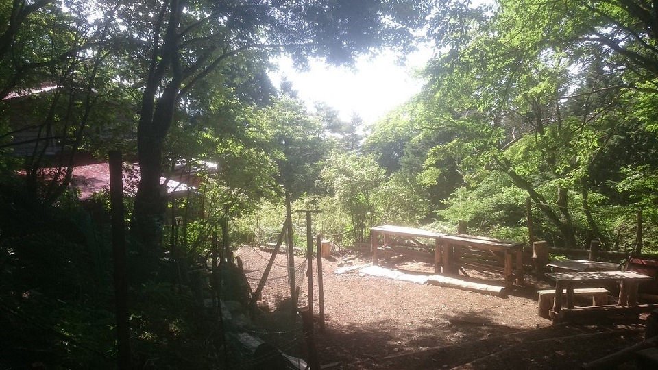f:id:akiranngo:20180613215955j:plain
