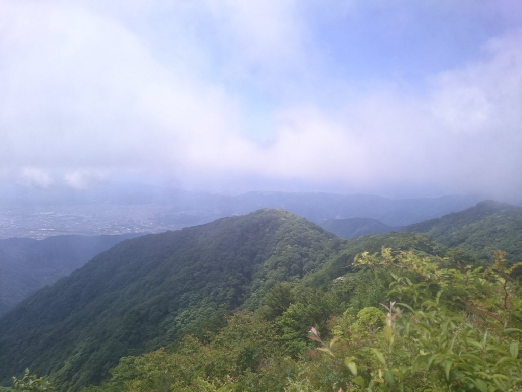 f:id:akiranngo:20180613222136p:plain